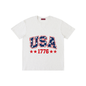 Pure Cotton Unisex T-Shirt | American 250yrs