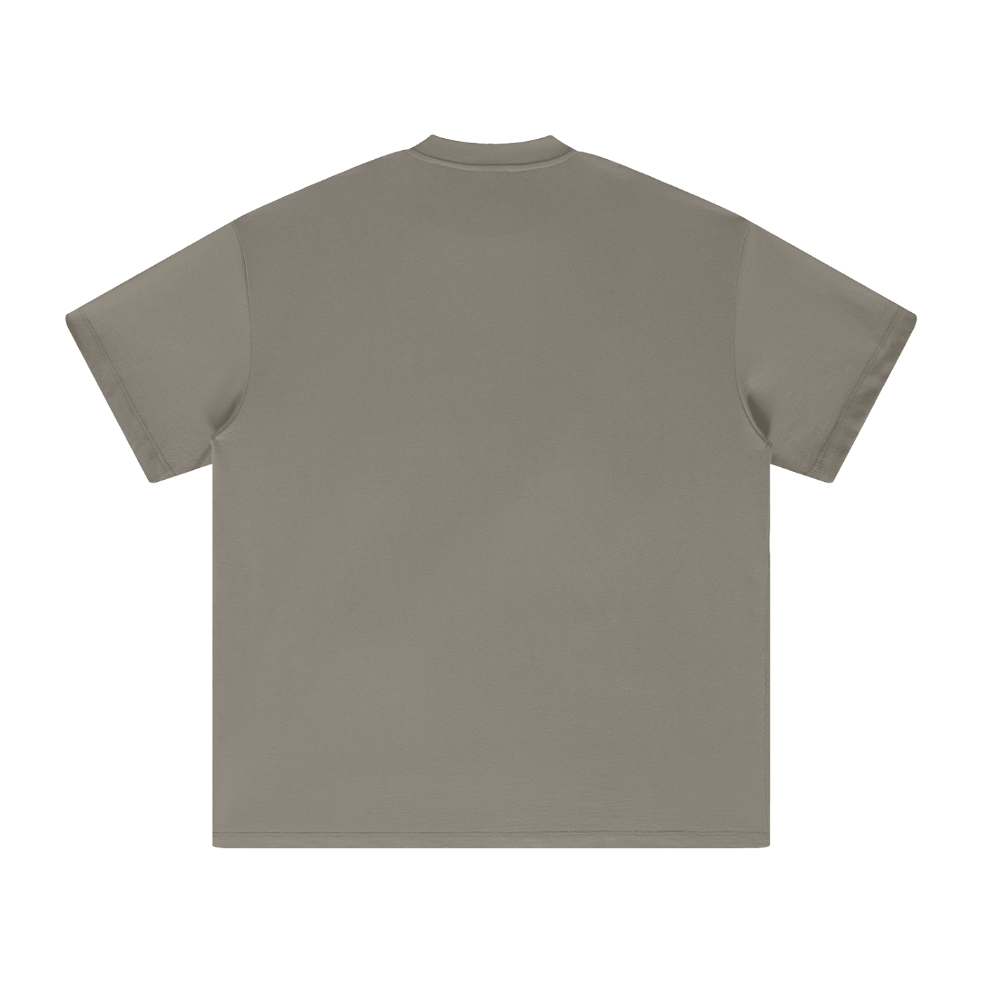 Waran Heavyweight Earth Tone T-Shirt
