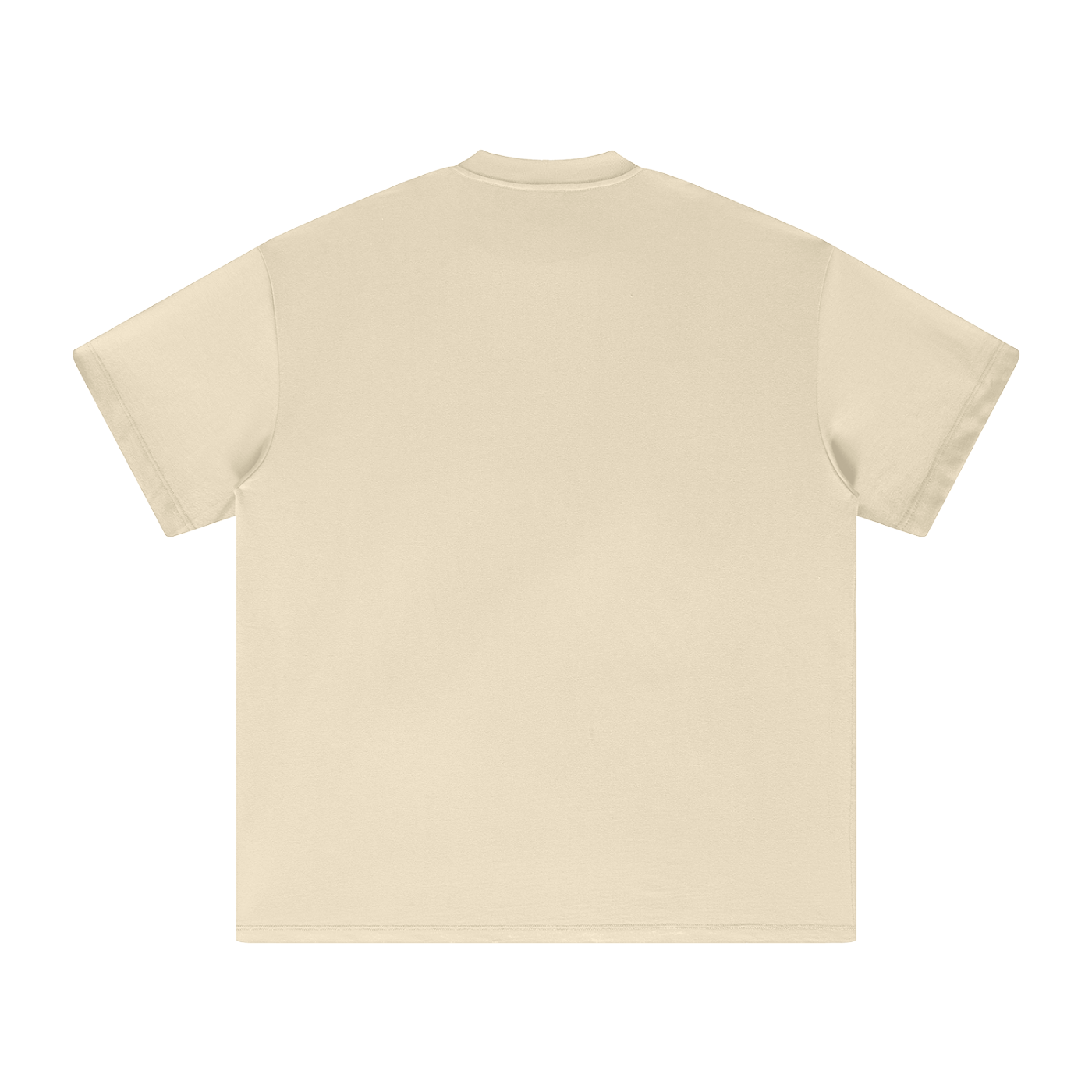 Waran Heavyweight Earth Tone T-Shirt