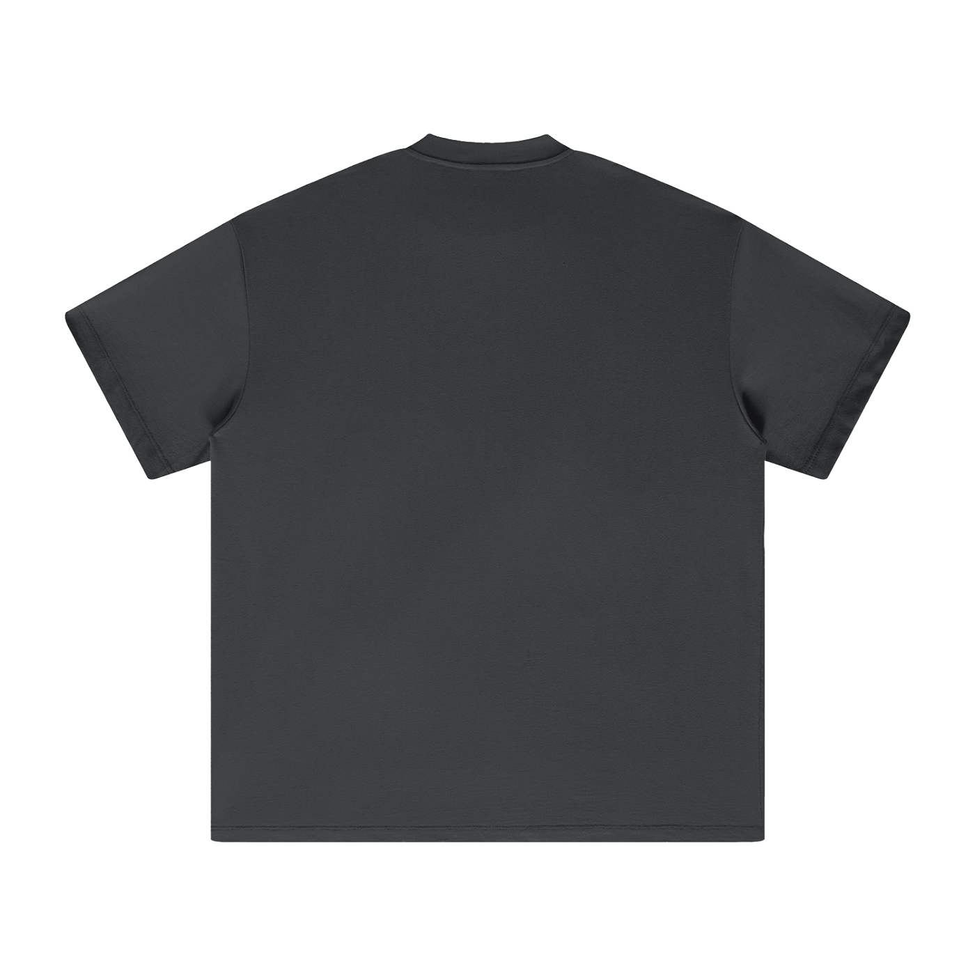 Waran Heavyweight Earth Tone T-Shirt
